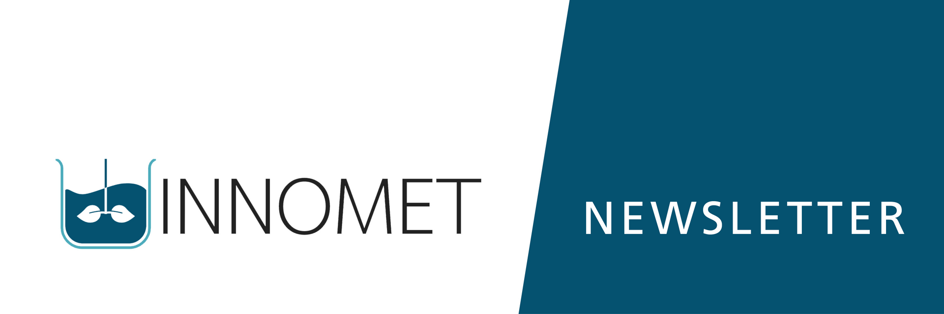 INNOMET Newsletter