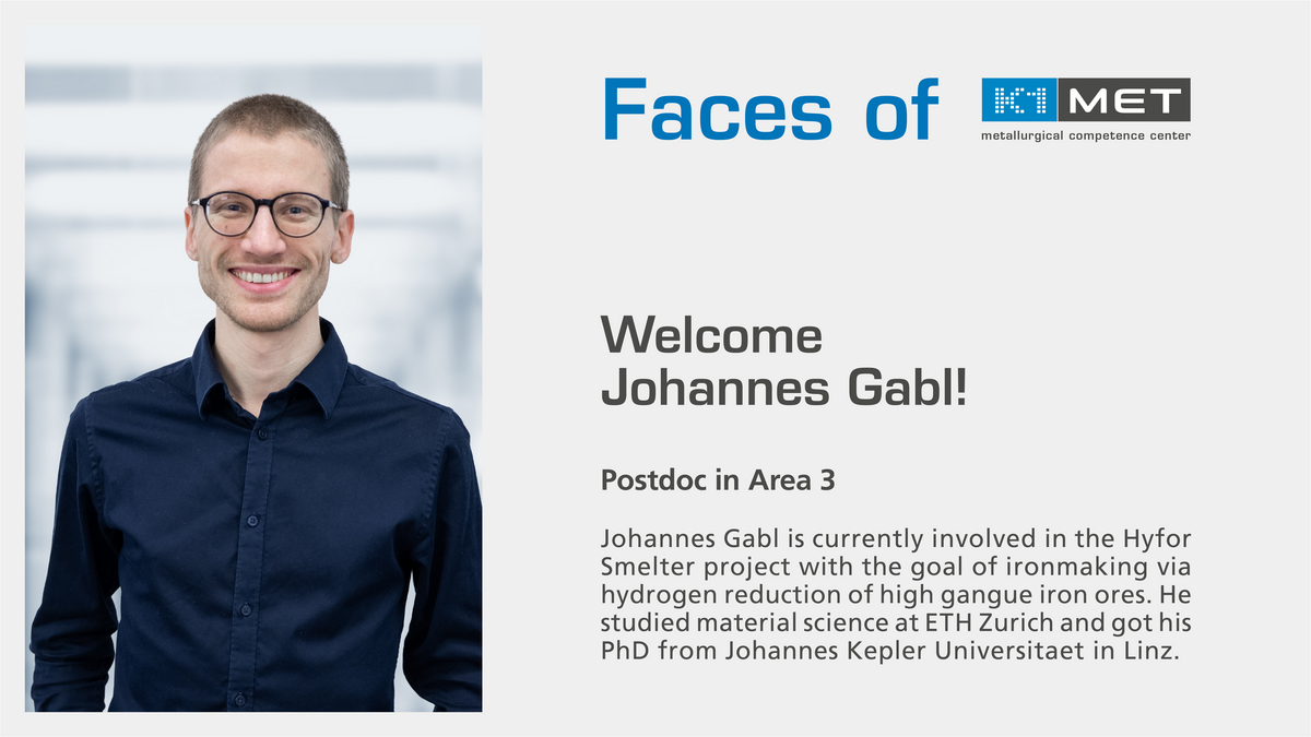 Johannes Gabl