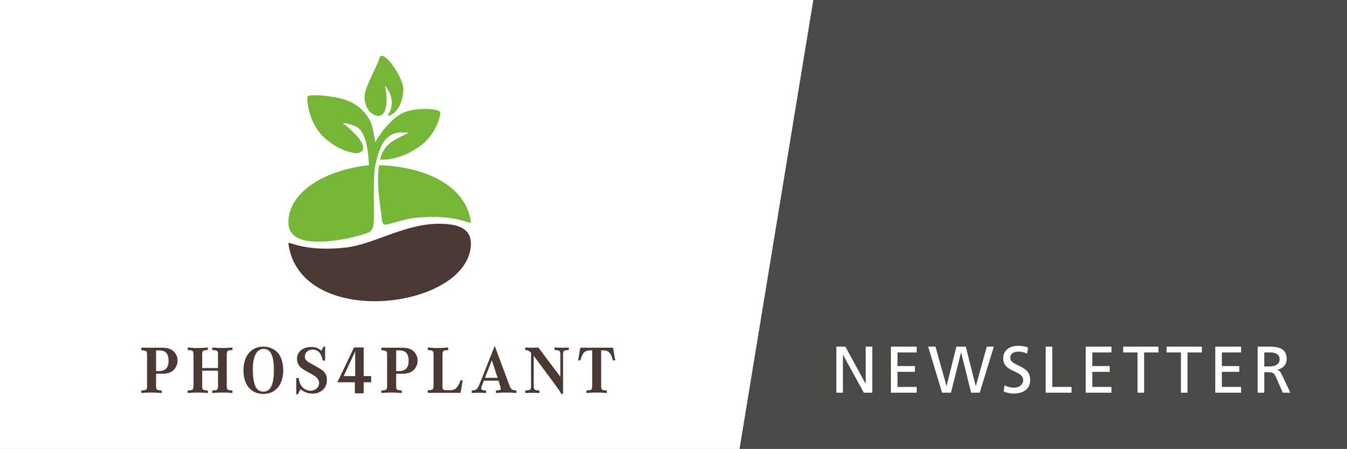 PHOS4PLANT Newsletter