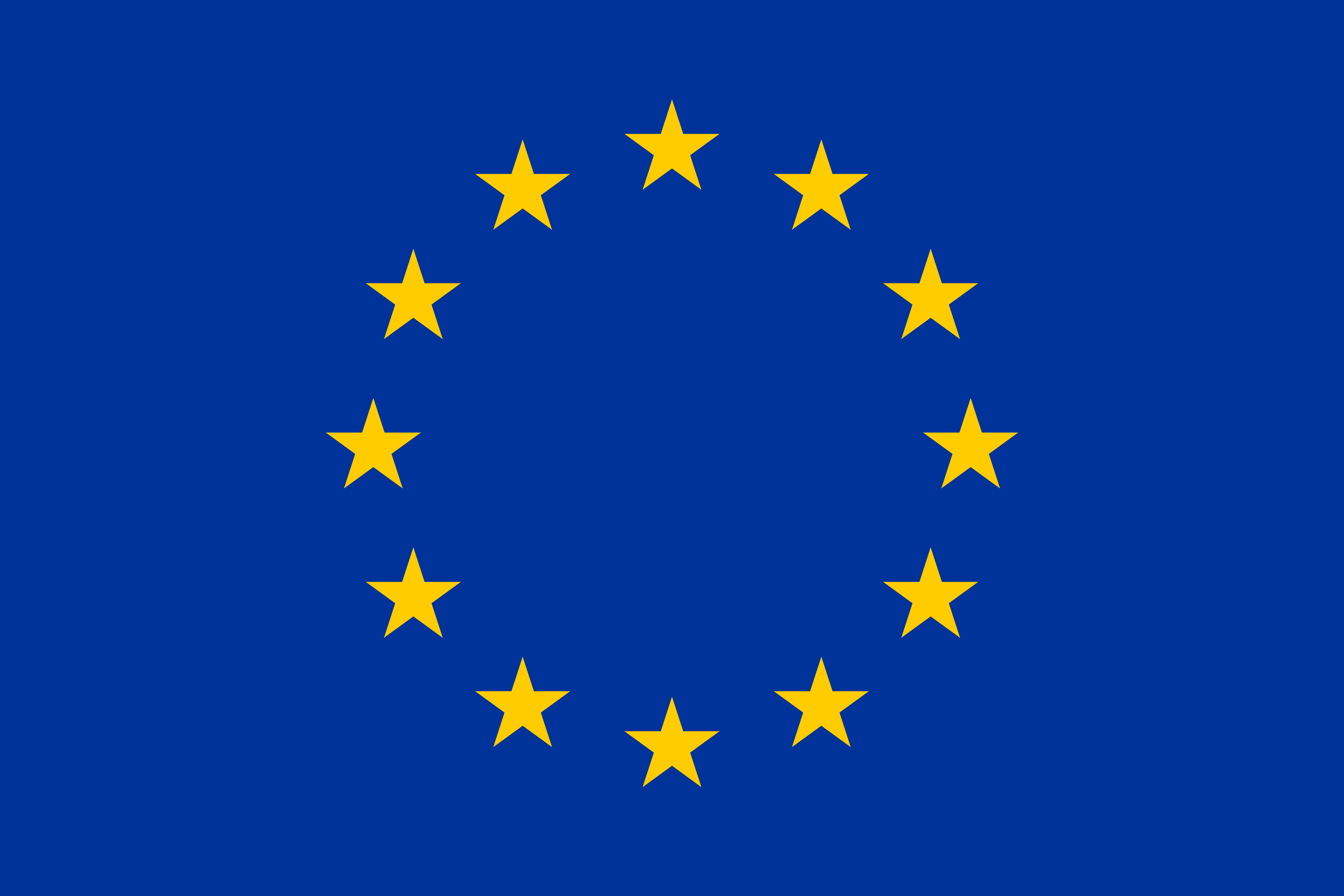 Förderung durch die Europäische Union